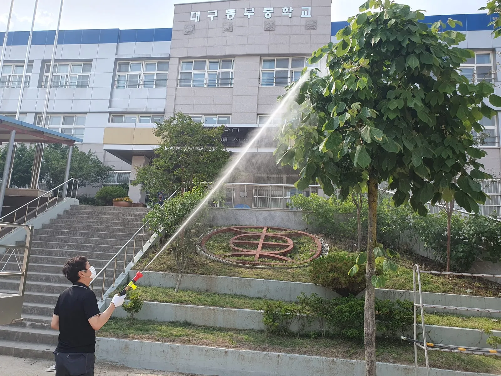학교 수목방역